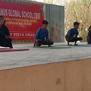 International Yoga Day