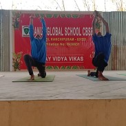 International Yoga Day