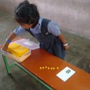Learning Numbers Grade 1